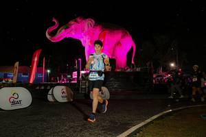 BIB: 
                            <button type="button" onclick="openModal(26534846)" class="btn btn-primary btn-sm float-right btn-popup" data-toggle="modal" data-target=".modal-high-quality">
                        <i class="fas fa-shopping-cart"></i> Add to Cart
                    </button>
                                            <button type="button" onclick="isThisMe(26534846, true)" class="btn btn-success btn-sm float-right btn-popup btn-isme hidden" data-toggle="tooltip" data-placement="bottom" title="นี่คือรูปของคุณใช่ไหม คลิกที่นี่เพื่อเอาเข้าอัลบั้ม">
                        <i class="fas fa-plus"></i> Add to album
                    </button>
                    <button type="button" onclick="isThisMe(26534846, false)" class="btn btn-warning btn-sm float-right btn-popup btn-isnotme hidden">
                        <i class="fas fa-ban"></i> Remove from album
                    </button>